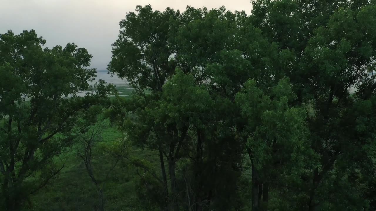 sun rise