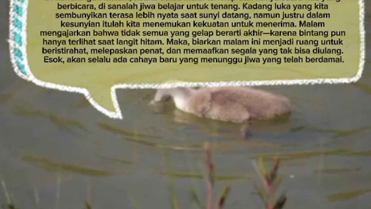 a word of heartfelt outpouring