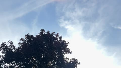 Caught on Camera: Rainbow Appears in Clear Sky While Planes Spray Over Boston 😱🌈