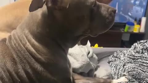 😂📺 Bro Was Just Trying to Watch Some TV! | FunFM