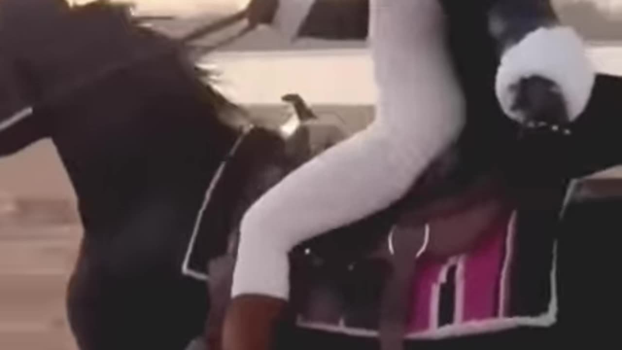 𝑺𝒊𝒍𝒌 𝑴𝒐𝒗𝒆𝒔 𝒊𝒏 𝑯𝒐𝒓𝒔𝒆 𝑹𝒊𝒅𝒊𝒏𝒈