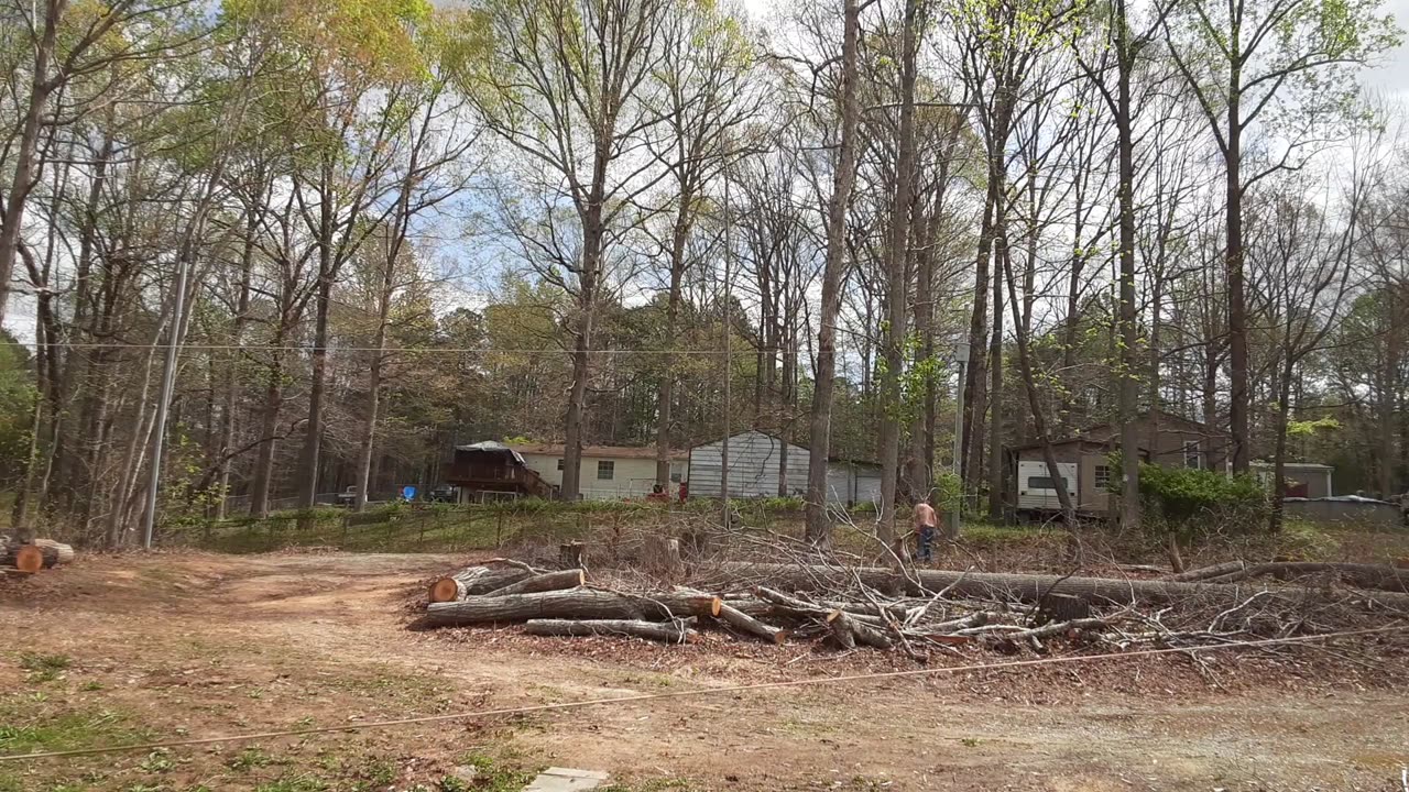 Progress – More Trees Down – Thanks Chris!