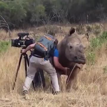 Nothing better than a good scratch.. 😅