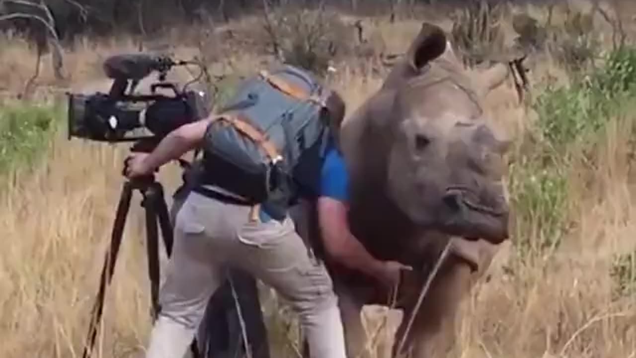 Nothing better than a good scratch.. 😅