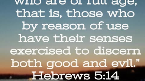 Prayer to Discern #youtubeshorts #grace #jesus #mercy #faith #fyp #trust #bless #love #discern #joy