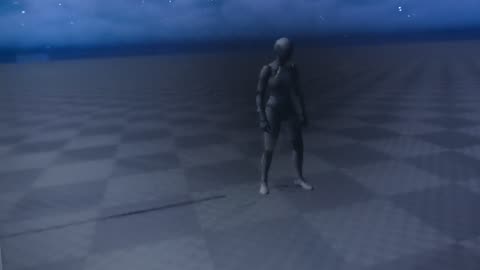 Very Early Concept "Tern"