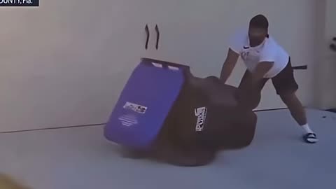 BLACK STEVE IRWIN