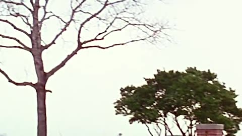 Rise of the Moon Queen