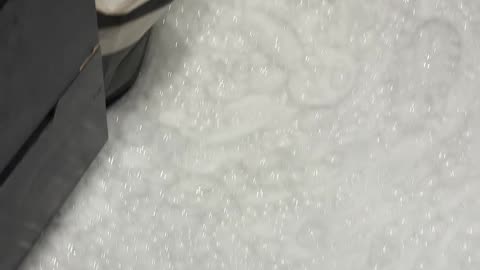 Foam Toilet Party