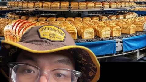This is not bread! It's a chemical sponge‼️
