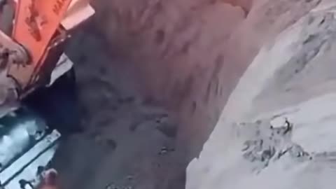 Hero The DOG