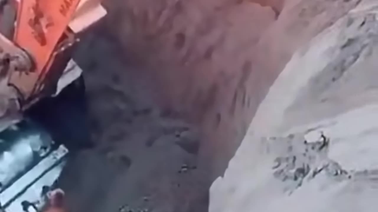 Hero The DOG