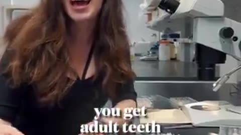 A Japanese research team has developed a drug that can regrow human teeth