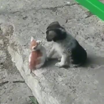 Making friends.. 😊