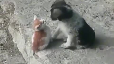 Making friends.. 😊