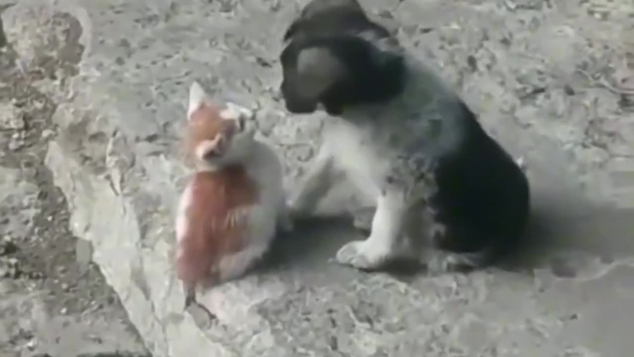 Making friends.. 😊