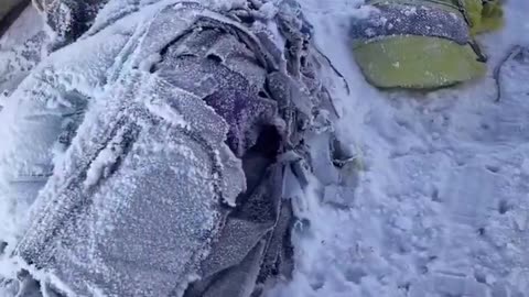 There are an estimated 200+ bodies of deceased climbers still on Mount Everest
