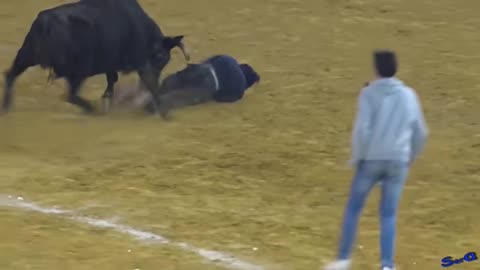 bulls is not local for this man
