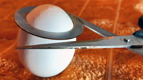 This Gadget Should Be in Every Kitchen