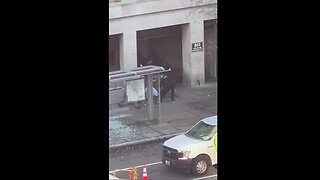 🚨Law officials RESPONDING to 2 WV National Guards SHOT Near the White House! [Are Being treated in hospital]