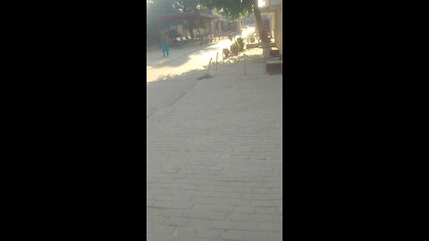 accident video