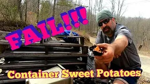 Container Sweet Potato - Fail