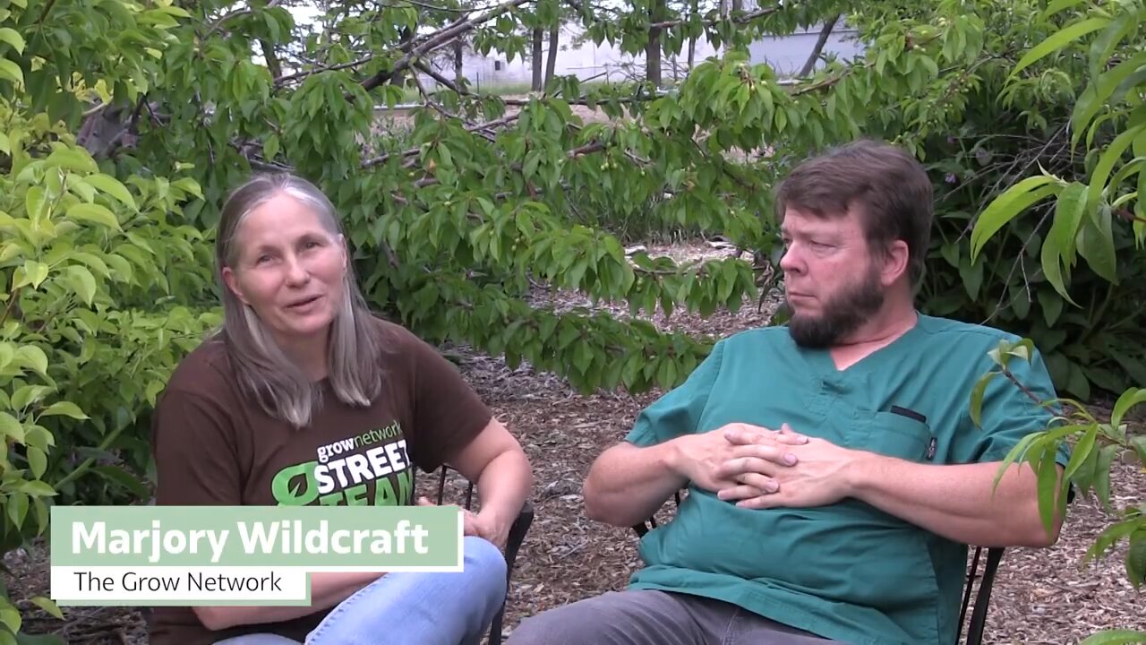 Herbs for stress relief