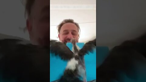 The man didnt pick up the mail for a long time and one day he found an unusual find in the mailbox