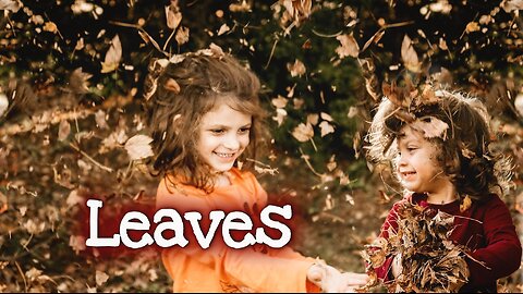 Diving into Piles of Leaves!! (AUTUMN TRADITION)