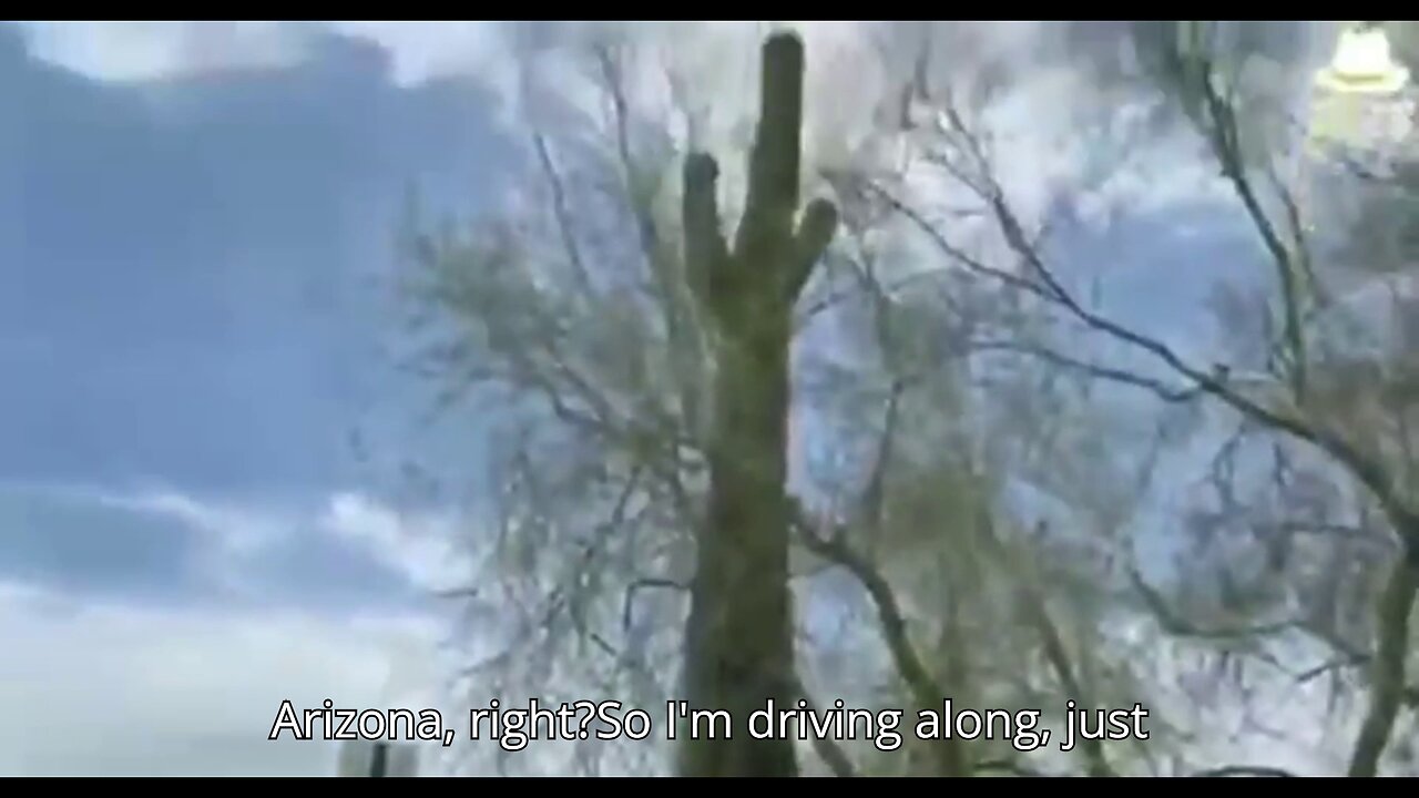 5G towers/Transmitters Disguised as Cacti