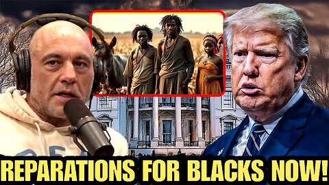 WTF!!Joe Rogan SHOCKS America!Backs $10 Trillion in Reparations for ALL Black People!