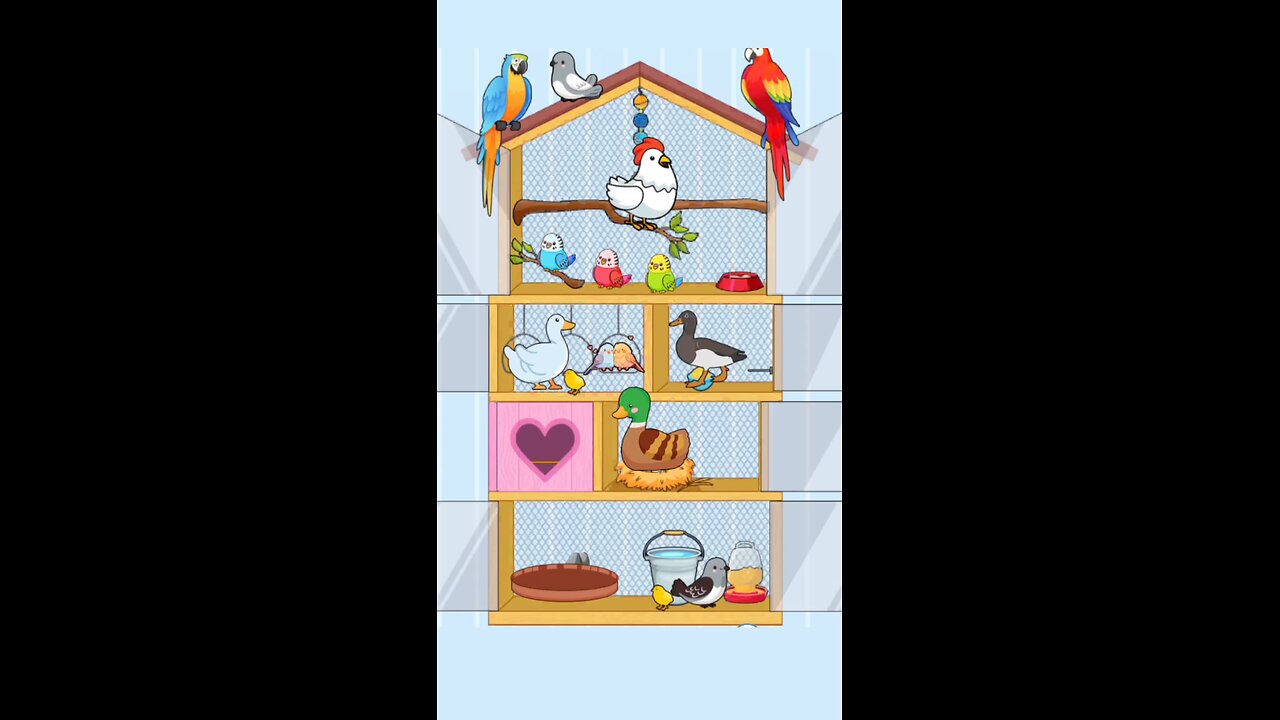 birds cage organizing