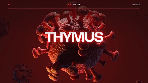 the THYMUS gland