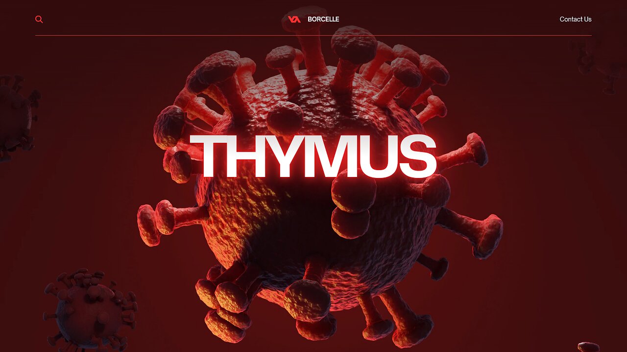 the THYMUS gland