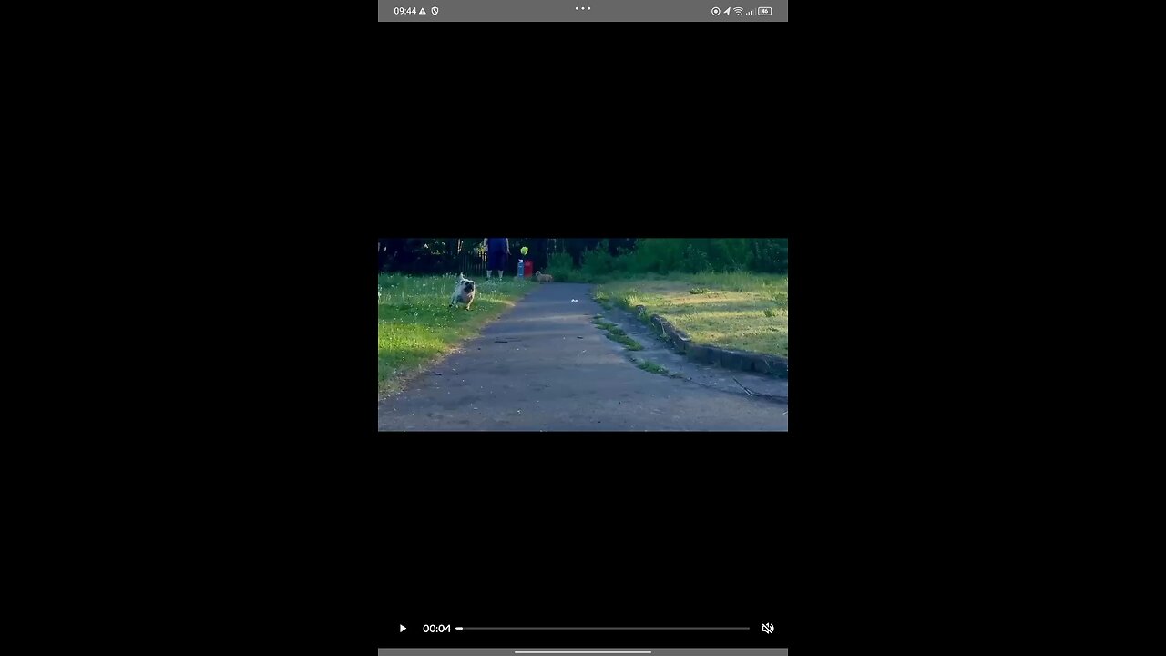 frank in slow mo