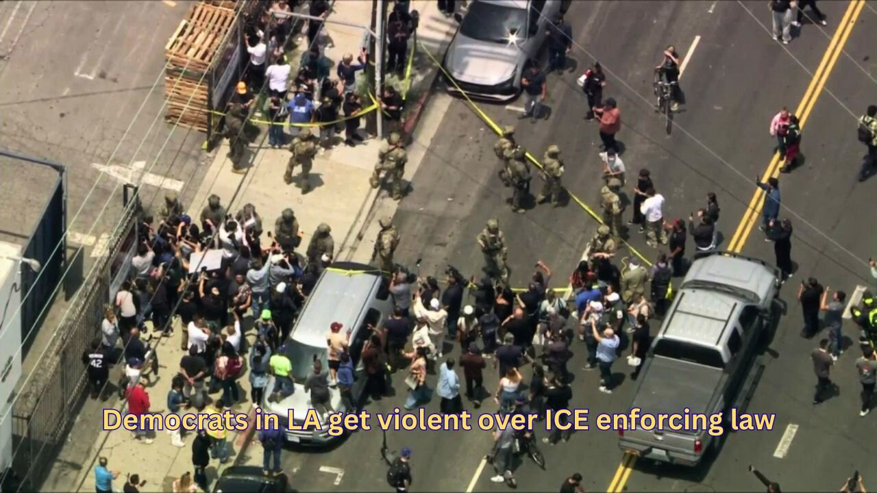 LA Democrats riots as ICE moves to round up the illegal immigrants