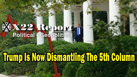 Dave Report Situation Update: Trump Is Now Dismantling The 5th Column, Fail-Safes In Place