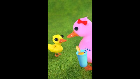 A duck try to teach her baby...