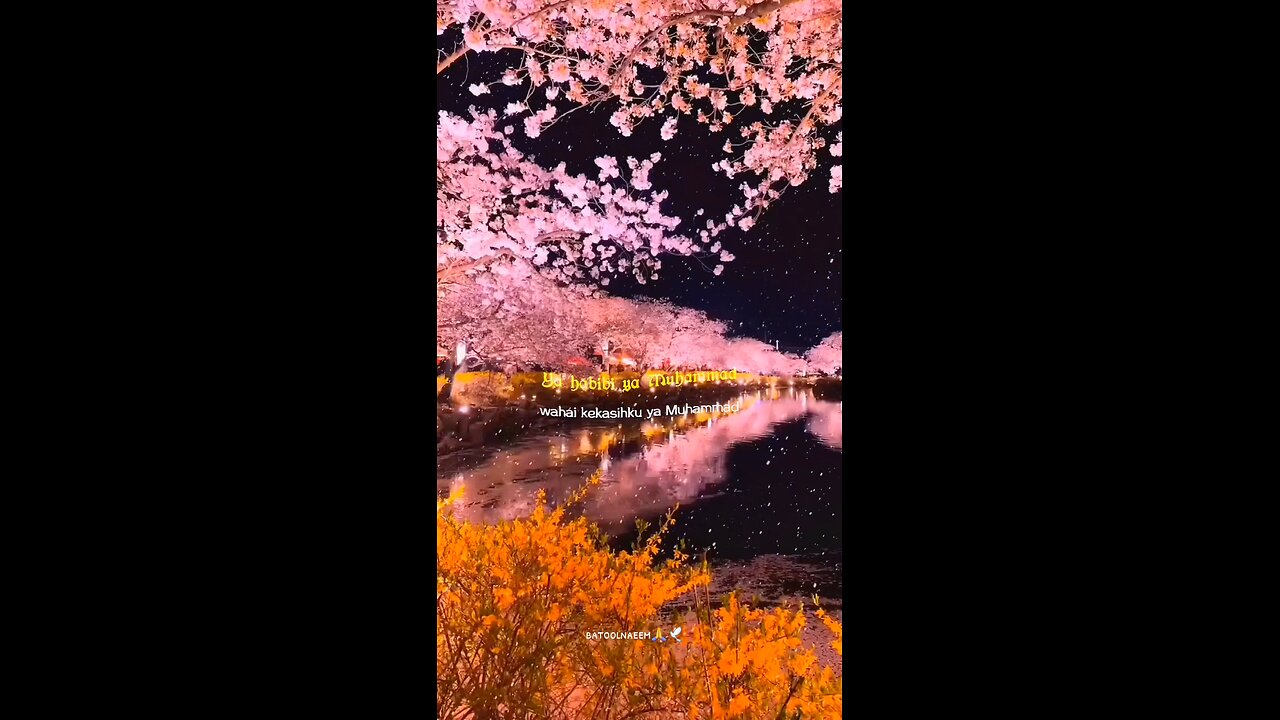 #foryoupage#viralvideo