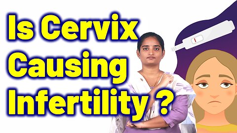 Risk Factors & Causes Of Cervical Factors Of infertility, Neck Of The womb Homeopathy Medicine Cure