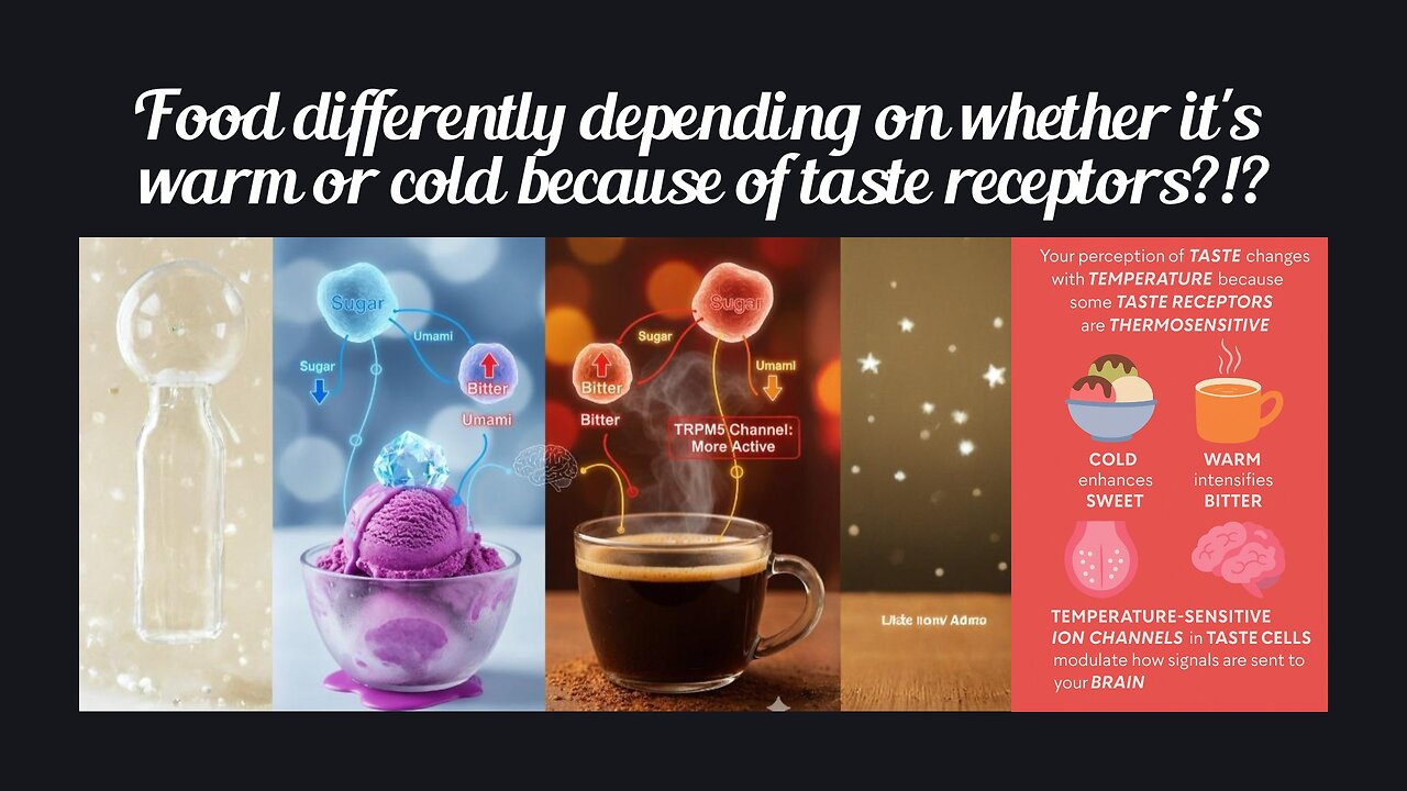 Fun Fact for Nov 17th 2025 Pt 2