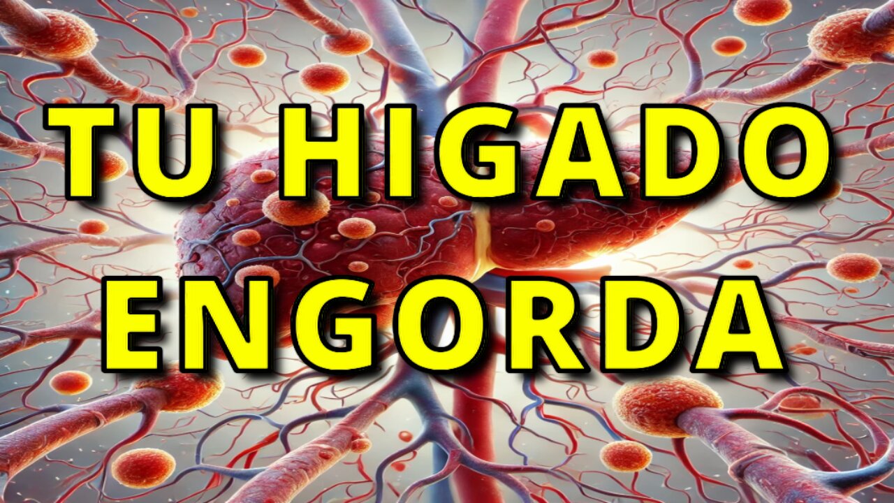 Higado Graso