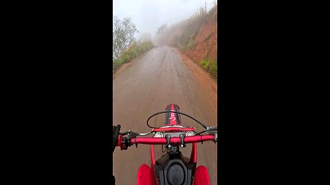 trail in rainy weather beautiful forest Brazil