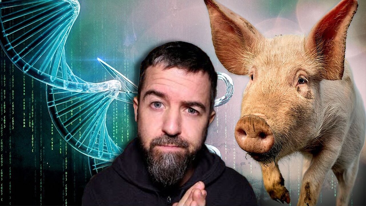 Gene-edited Pigs May Soon Enter The Canadian Food Market!! I Wonder What Could Go Wrong??
