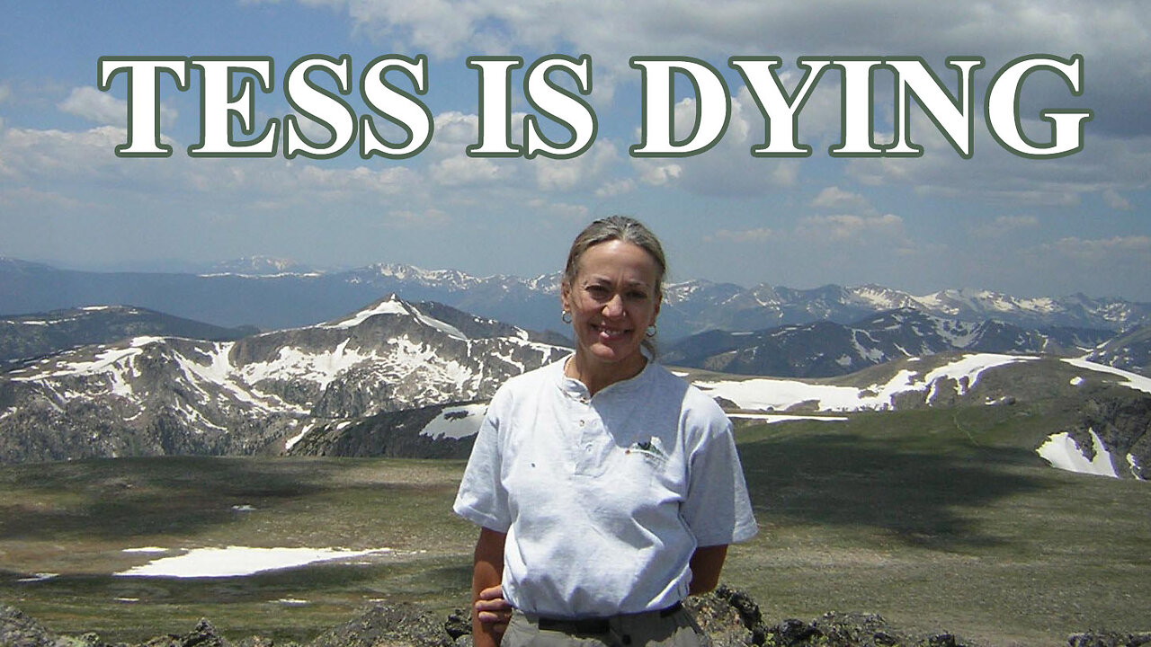 TESS IS DYING - a personal story
