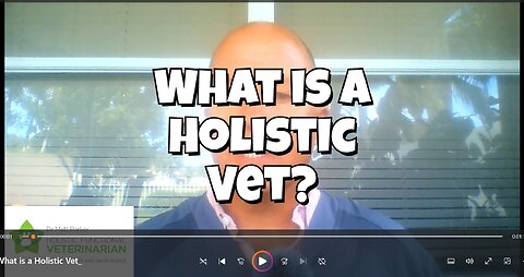 What Is A Holistic Vet?