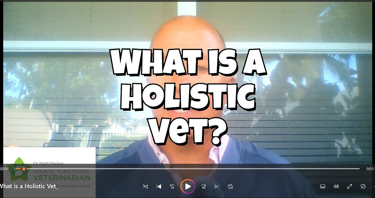 What Is A Holistic Vet?