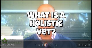 What Is A Holistic Vet?