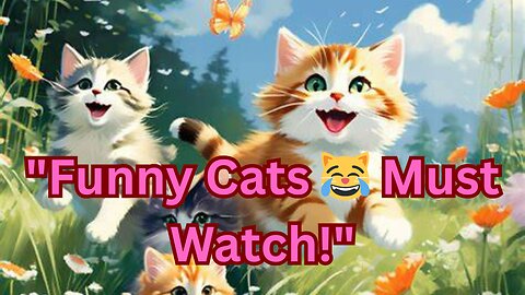 😹Cats being silly again!
