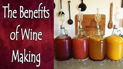 The Benefits of Wine Making